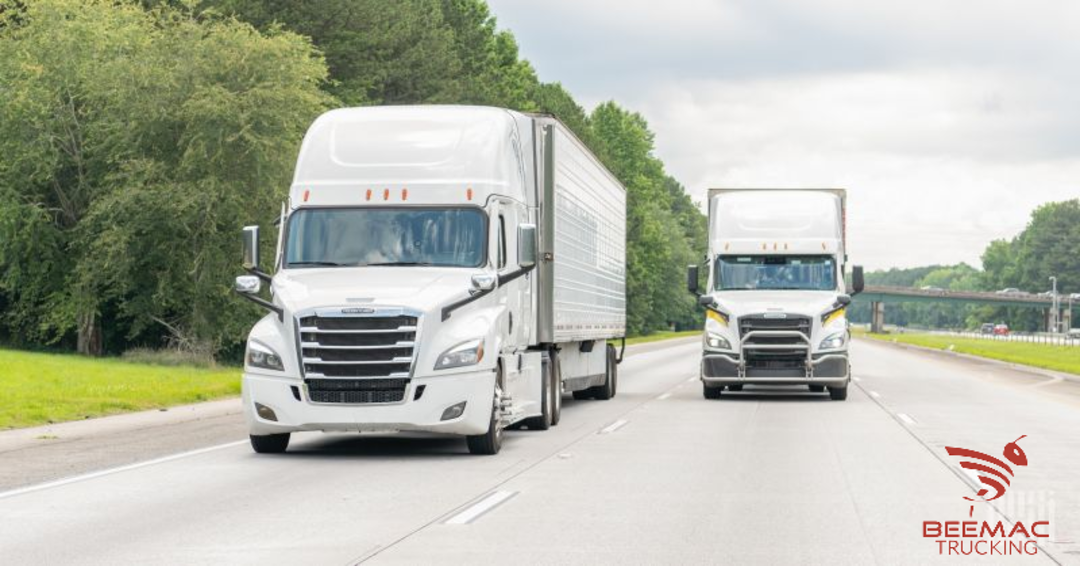 1771442389785 fotor 20260224165222 1080x566